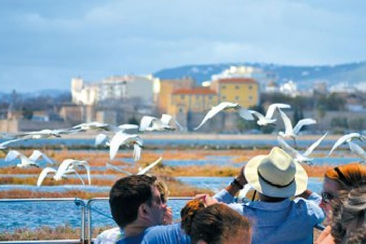 Eco Tour Ria Formosa - Guided Nature Tour from Faro to Ilha Deserta image