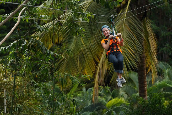 Adrena-Line Zipline Canopy Tour at Rainforest Adventures St. Lucia image