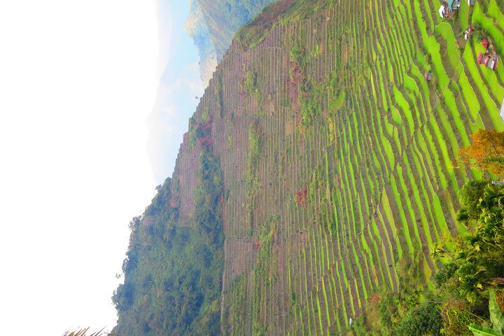 Banaue-Cambulo-Batad-Bangaan RICE TERRACES TOUR From Manila image