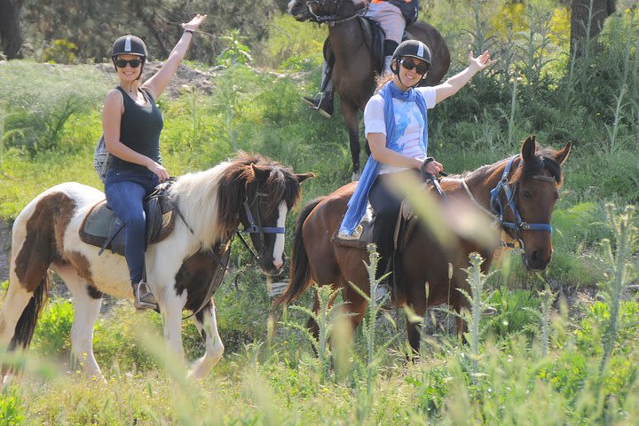 Horse Riding in Kemer  image