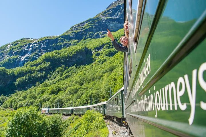 Guided day tour to Flåm - incl Premium Nærøyfjord Cruise and Flåm Railway  image