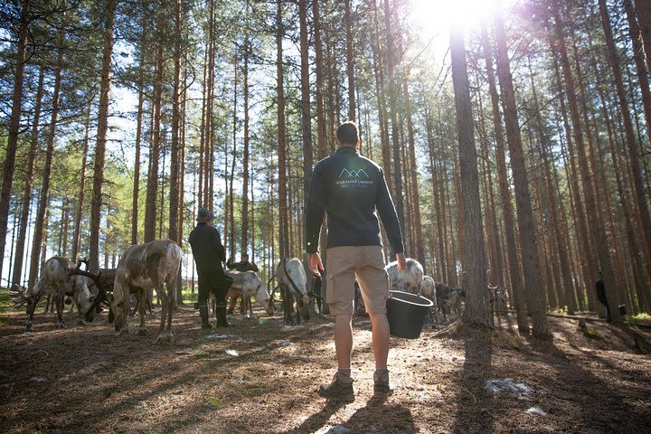 Authentic Reindeer Farm and Canoe Experience from Rovaniemi (Small Group) image