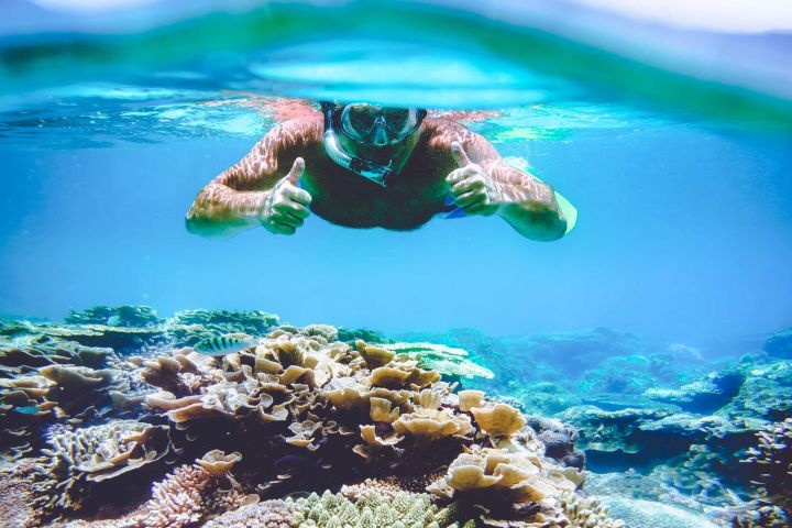 Surin Island Snorkeling Adventure image