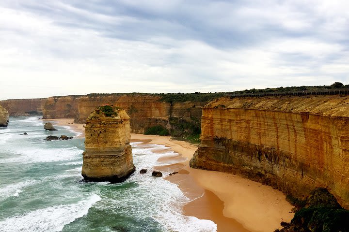 Ultimate Reverse Direction - 12 Apostles, Great Ocean Road - Small group tour image