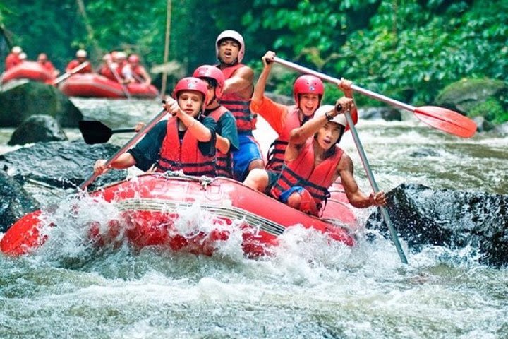 All inclusive : Ayung River White Water Rafting Lunch and Private Transport  image