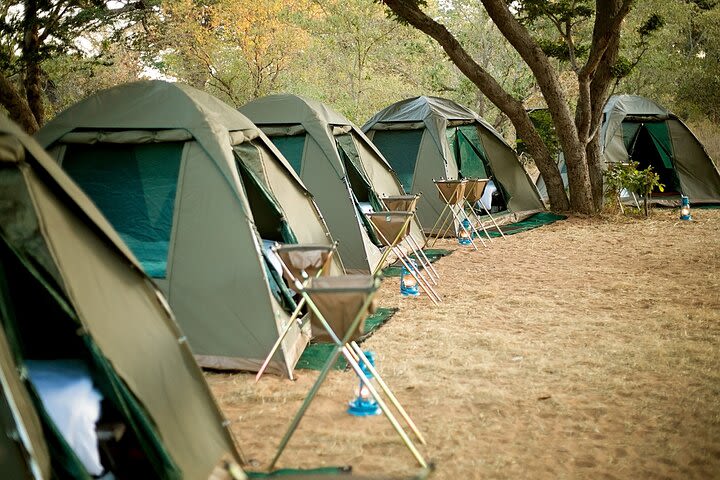 2-Day Chobe National Park Camping Safari from Kasane image