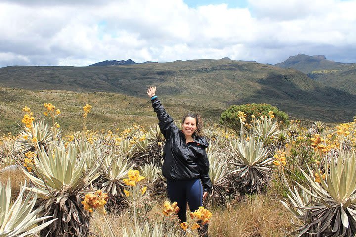 Private Hike • Chingaza Natural Park from Bogota • 10h image