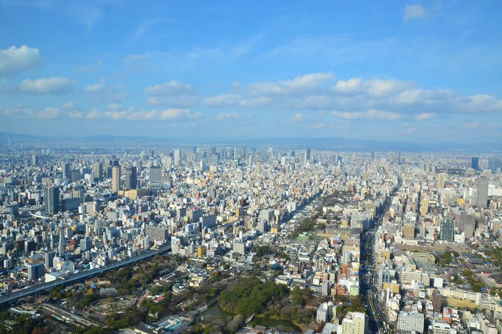 Osaka's Best and Brightest by Private Vehicle image