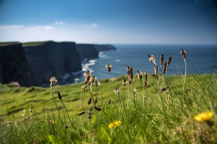 Cliffs of Moher and Burren Full Day Tour from Galway image