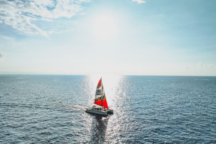 Kona Luxury Dolphin Snorkel Sail image