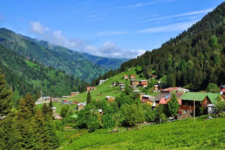 Full-Day Private Tour to Ayder Plateau from Trabzon image