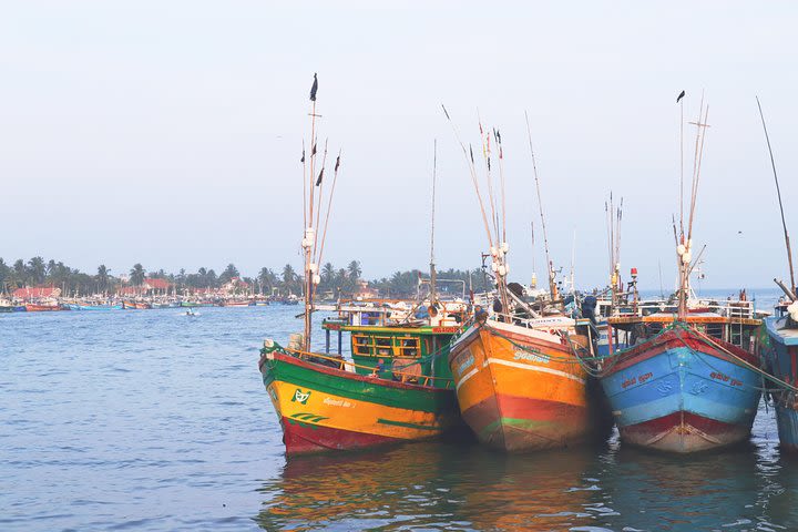 Negombo City Tour & Lagoon Boat Trip with Lunch image