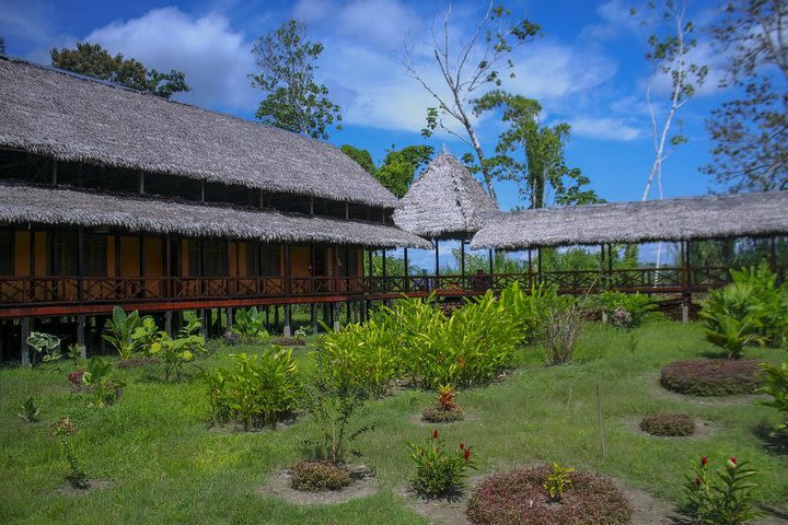 3 Day Iquitos Amazon Jungle Adventure at Heliconia Lodge image
