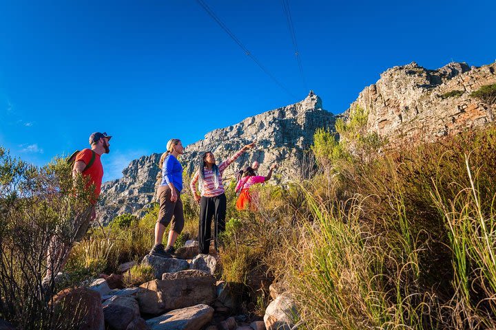 Private Hiking Tour of Table Mountain image