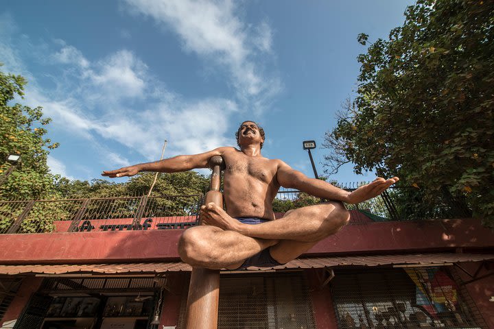 Mallakhamb Workshop - A unique form of Yoga for the mind and body! image