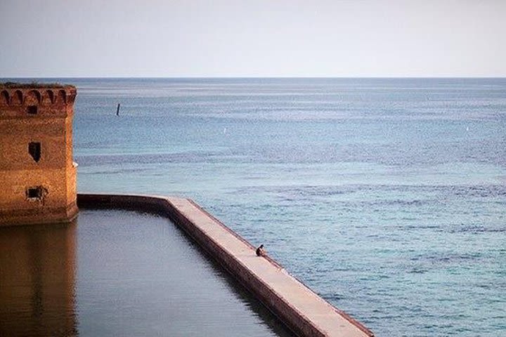 Dry Tortugas National Park Day Trip by Catamaran from Key West image