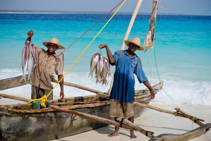 Mnemba Island Half-Day Snorkeling Adventure image