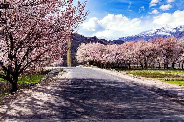 Blossom Tour in Hunza, Skardu & Khaplu image