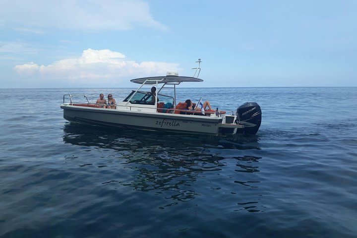 Ortigia - Plemmirio Marine Reserve Onboard Zefirella Charter image