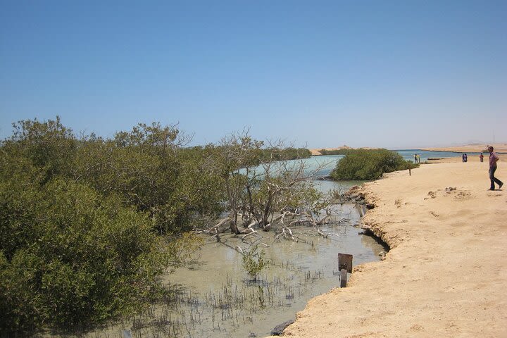 Ras Mohammed by Car One Day Tour from Dahab image