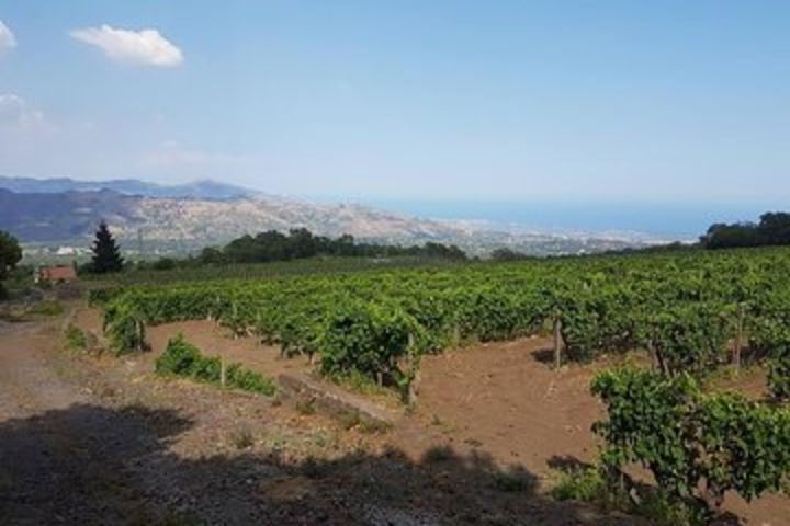 Wine Tour in Linguaglossa and in addition visit of Taormina from Giardini Naxos image