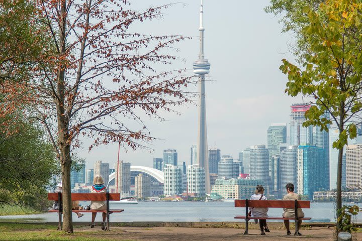 Discover Toronto with a Private Walking Tour by a Local image