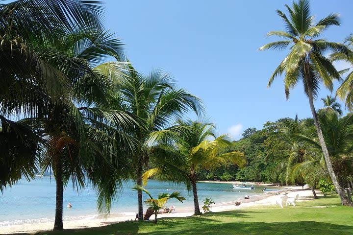 Private day tour to the Caribbean: Grande Island and Portobelo image