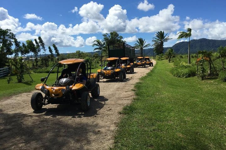 Jungle and Beach Buggy Safari Adventure Port Vila Vanuatu image