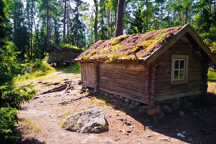 Helsinki and Seurasaari Open-Air Museum Private Tour image