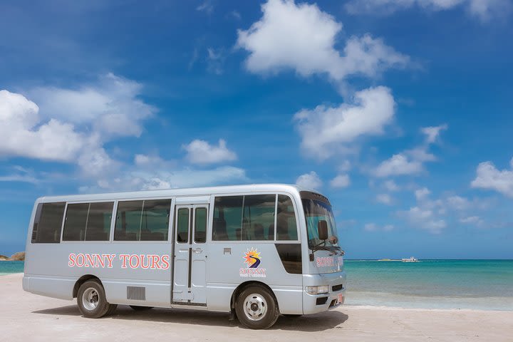 Aruba City Tour  image