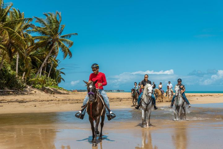Luquillo Beach Horseback Riding Adventure image