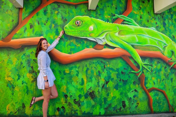 Aruba Art, Beach & Culture Tour image