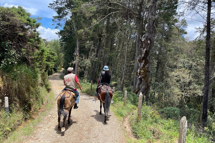 Enjoy a Nice Horseback Ride Through Mountains, Forests & Landscapes image