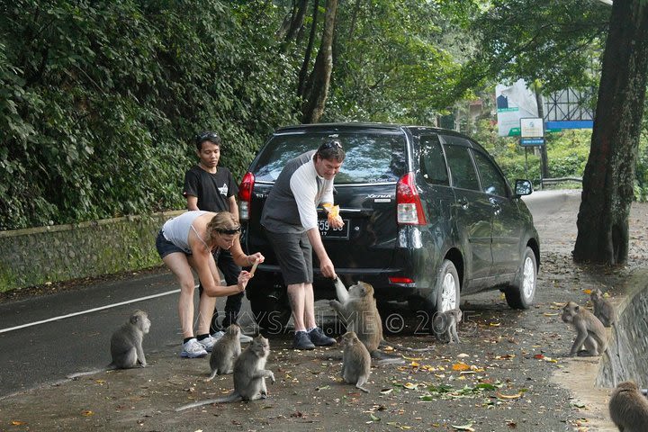  Private Kuta Lombok tours image