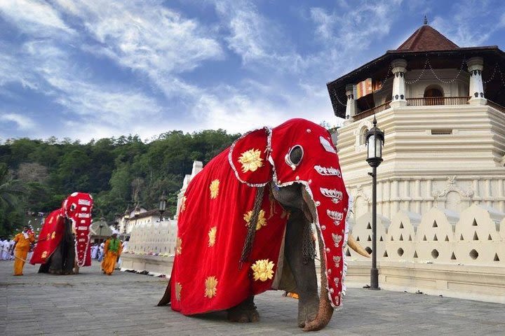 Private Day Trip Of Kandy (Temple,Spice Garden,Tea Factory) From Colombo image