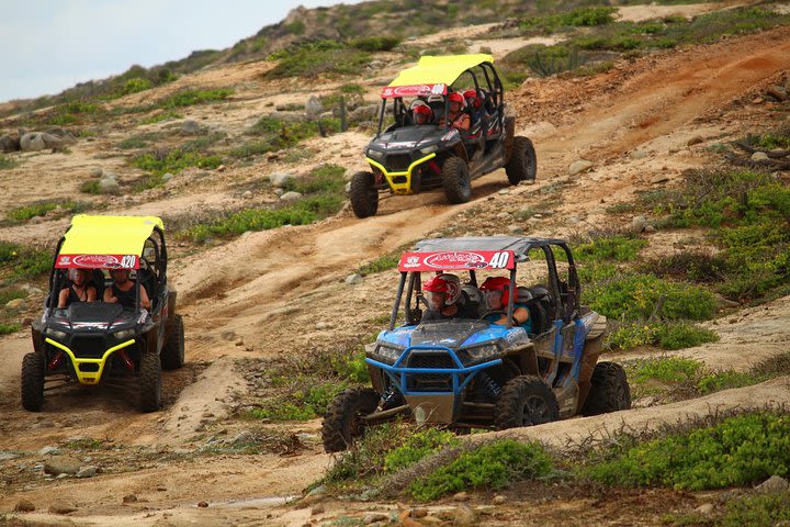 Cabo Wild Desert Tour, Polaris ATV or Razor Single, Double, Triple or Quad! image