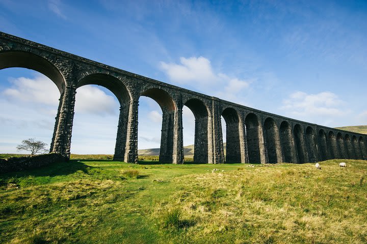 Private Hire: Yorkshire Dales from Harrogate in 16 seater minibus image