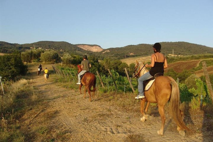 Bodrum Horse Riding Experience image