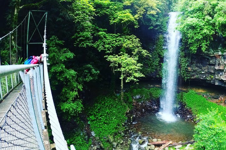 Rainforest & Waterfall Experience image