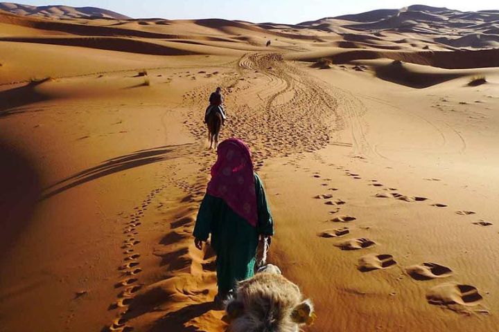 Fes desert tours 2 days  image