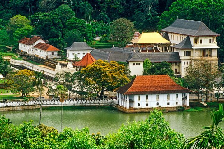 Kandy City Tour from Hikkaduwa image