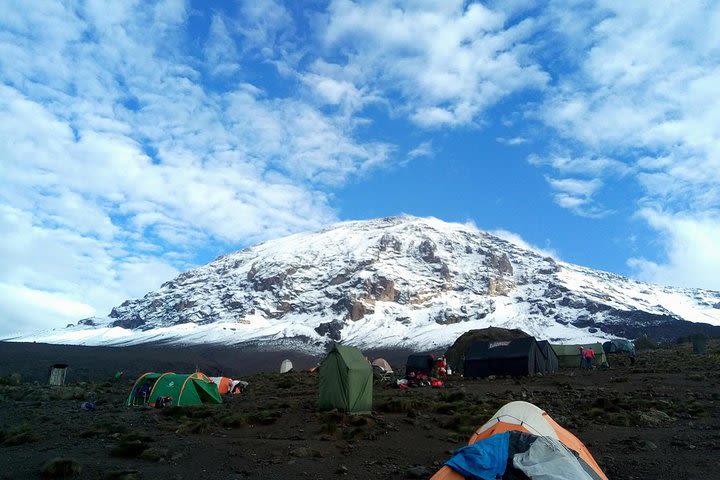 6 Days Rongai route climbing Mt.Kilimanjaro  image