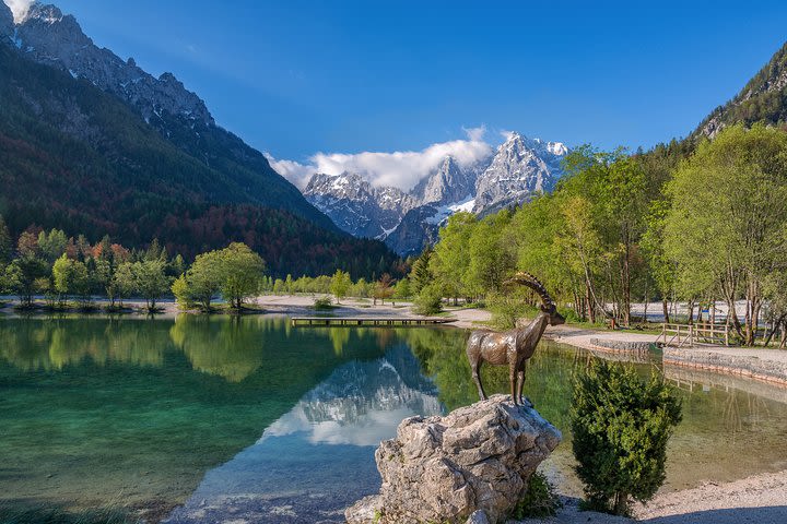 Kranjska Gora Mountain Biking image