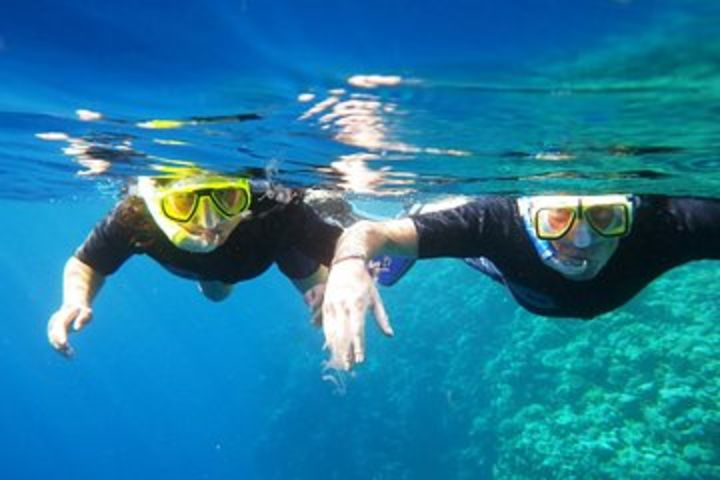 Dahab Safari from Sharm-el-Sheikh incl. Snorkeling and Camel Riding image