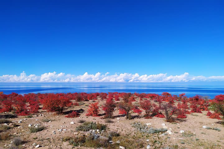 One-day tour to Issyk-Kul Lake image