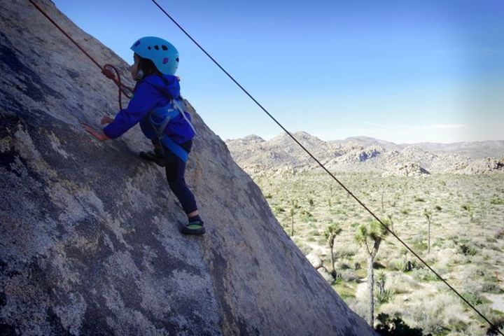 Family Rock Climbing Trips in Joshua Tree National Park (6 Hours) image