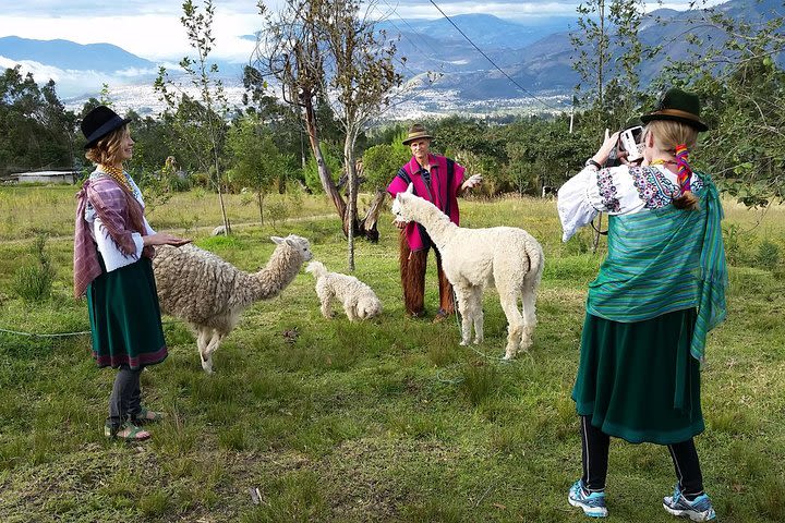 10-Day Ecuador Highlights image