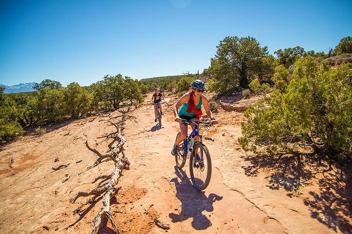 Dead Horse Point Half-Day Guided Mountain Biking Tour in Moab image