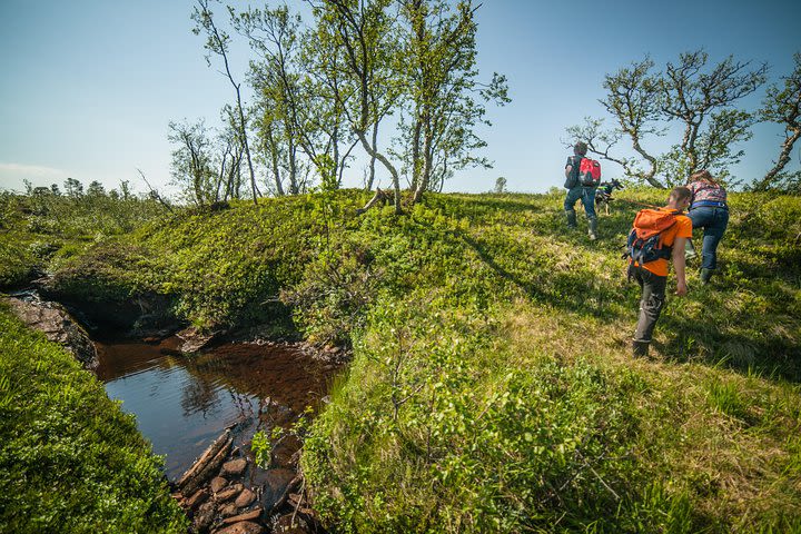 Hiking With Huskies from Tromso image