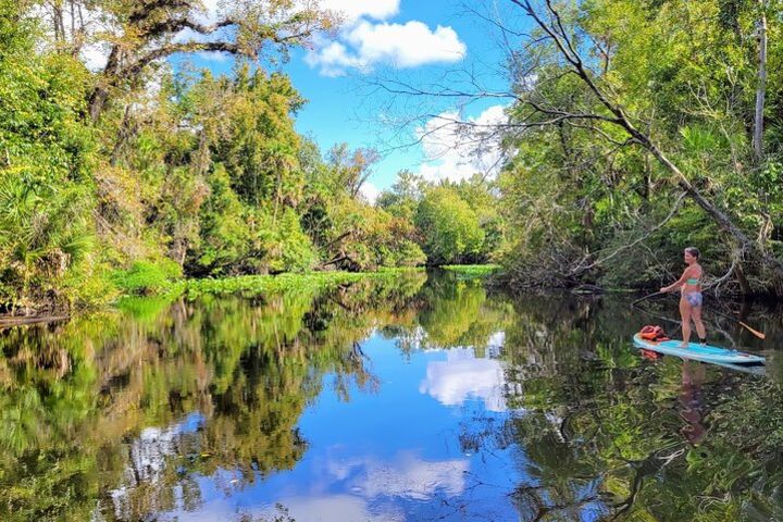 Horseback Riding Swimming, Paddle Board or Kayak Adventure at Wekiwa Springs image